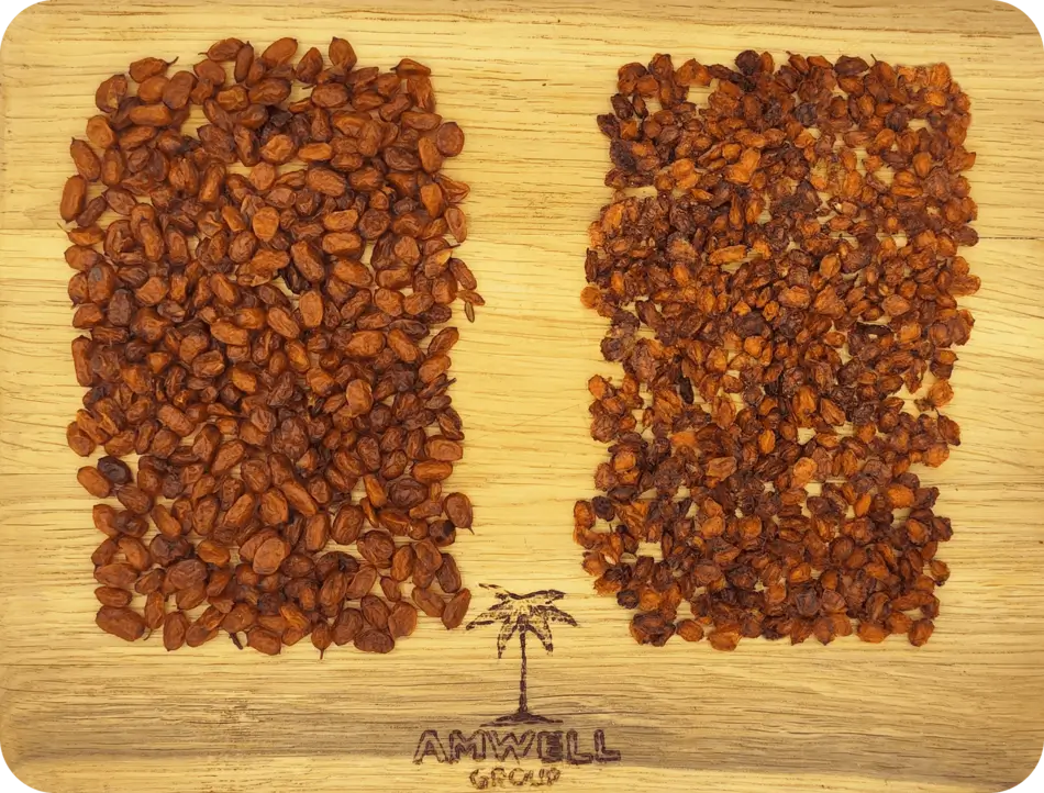 Облепиха вяленая/сушеная
